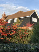 Premium Black Feather Edge